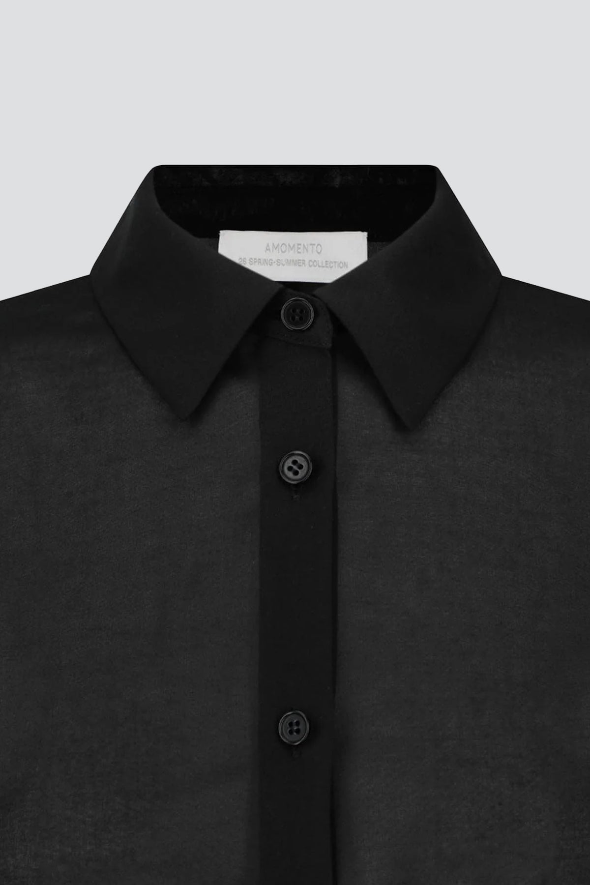 Black Sheer Slim Shirt