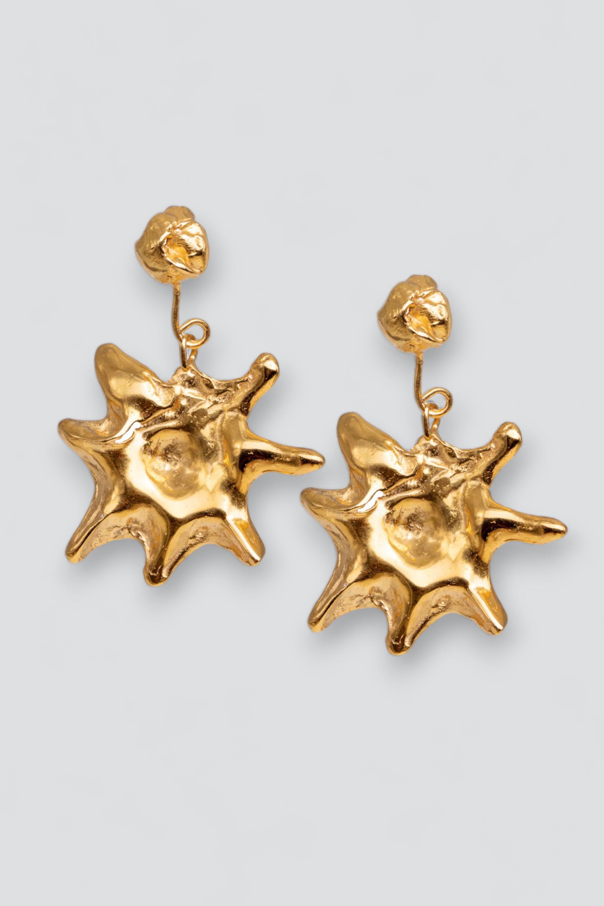 Gold Astro Earrings