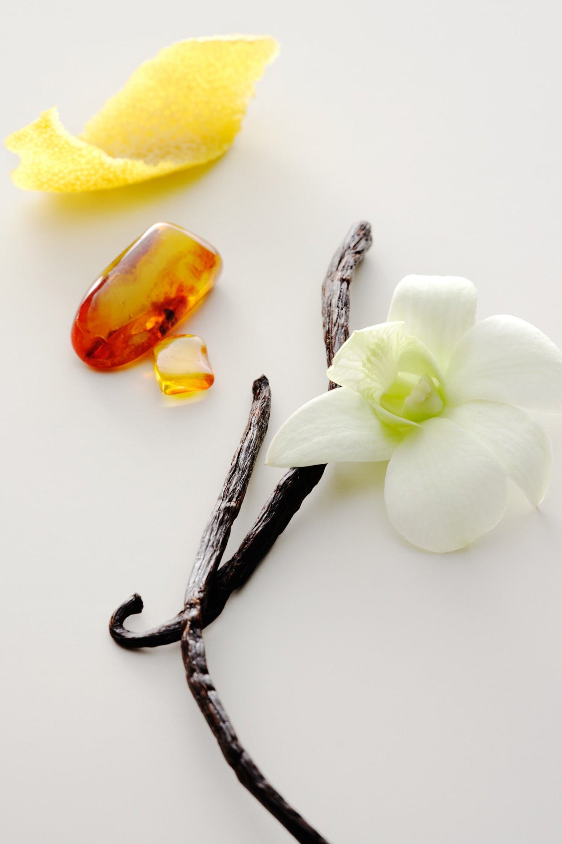 No. 15 Vanille Infinie Perfume Oil