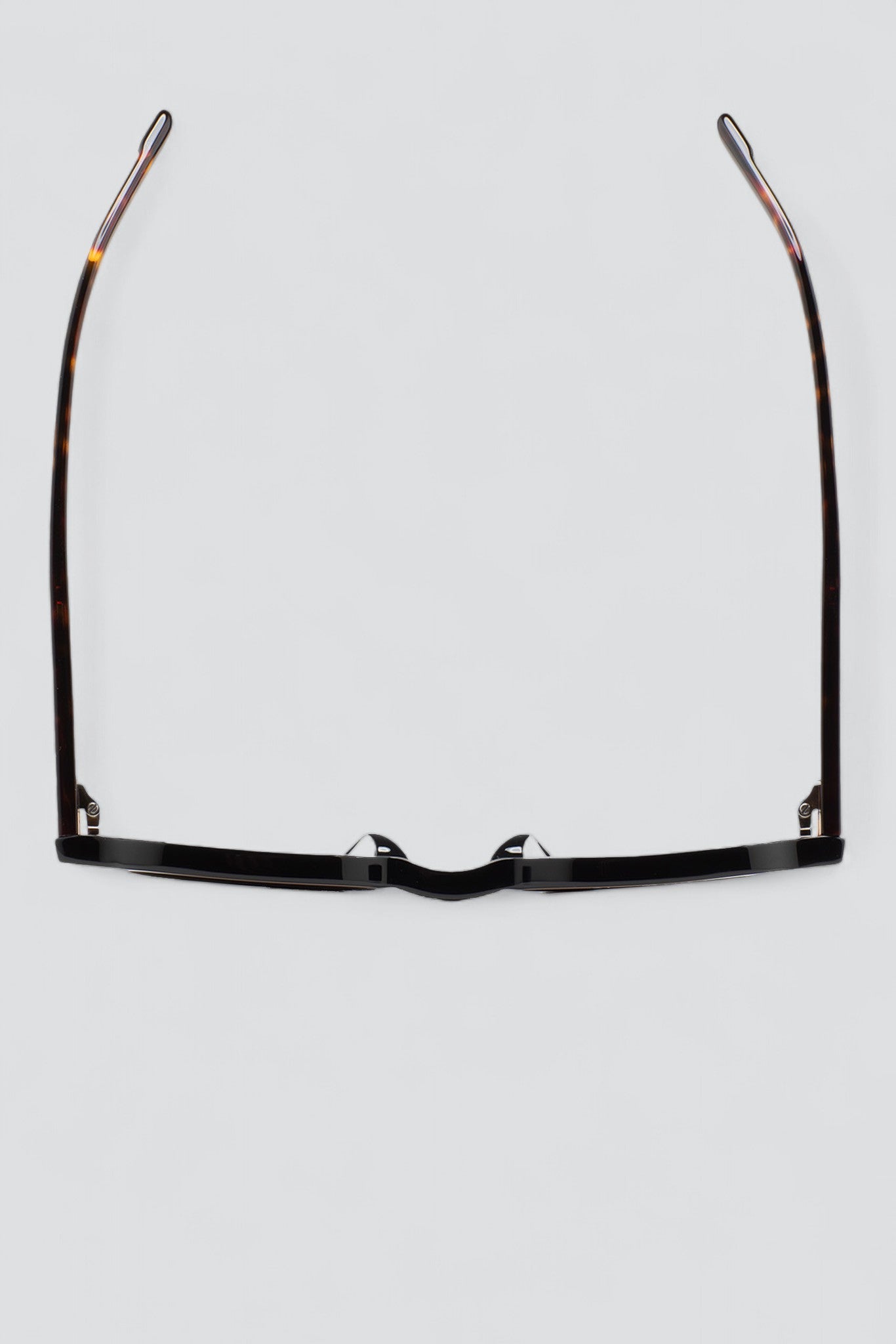 Acetate Degarmo 5 Sunglasses