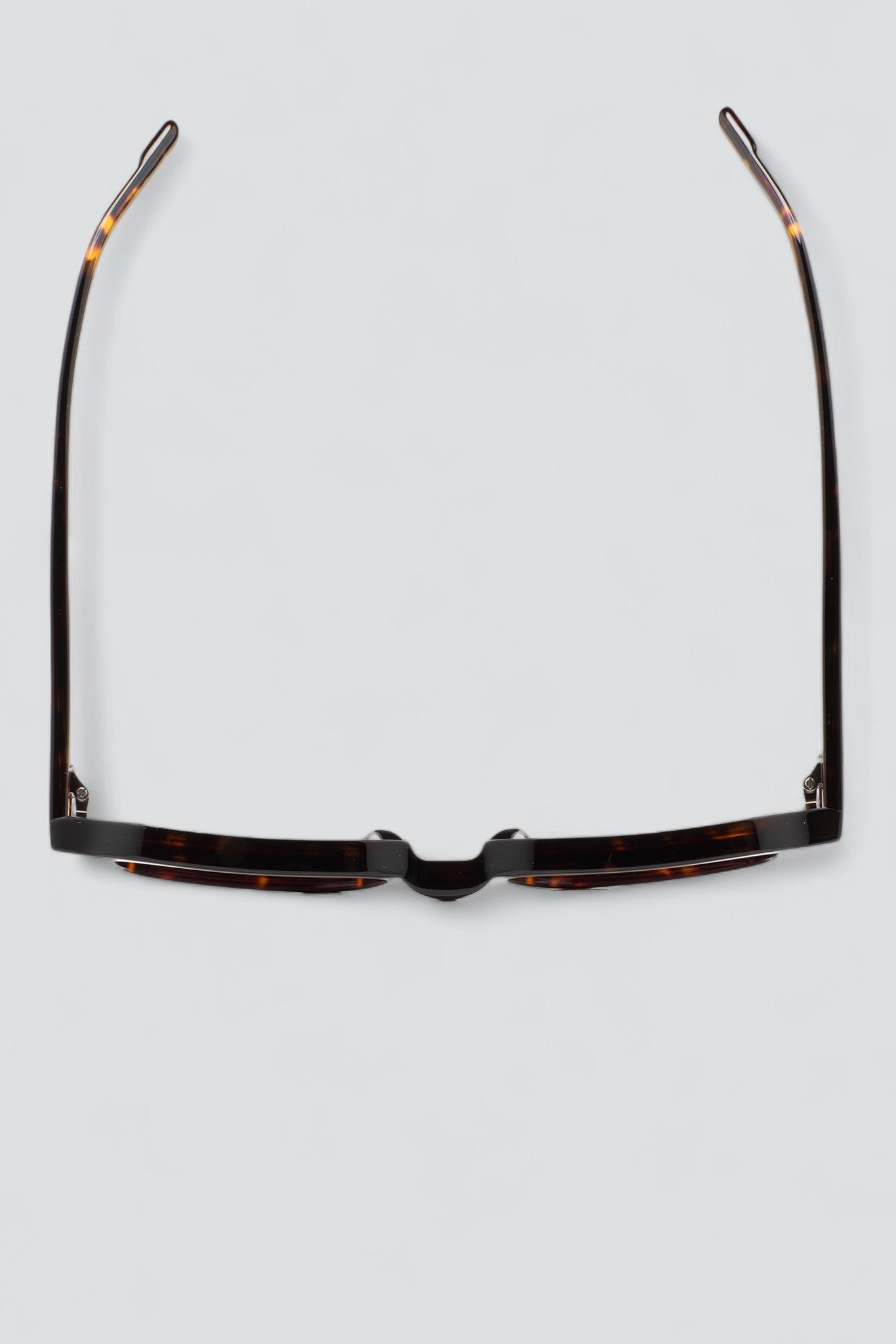 Acetate Riordon 2 Sunglasses