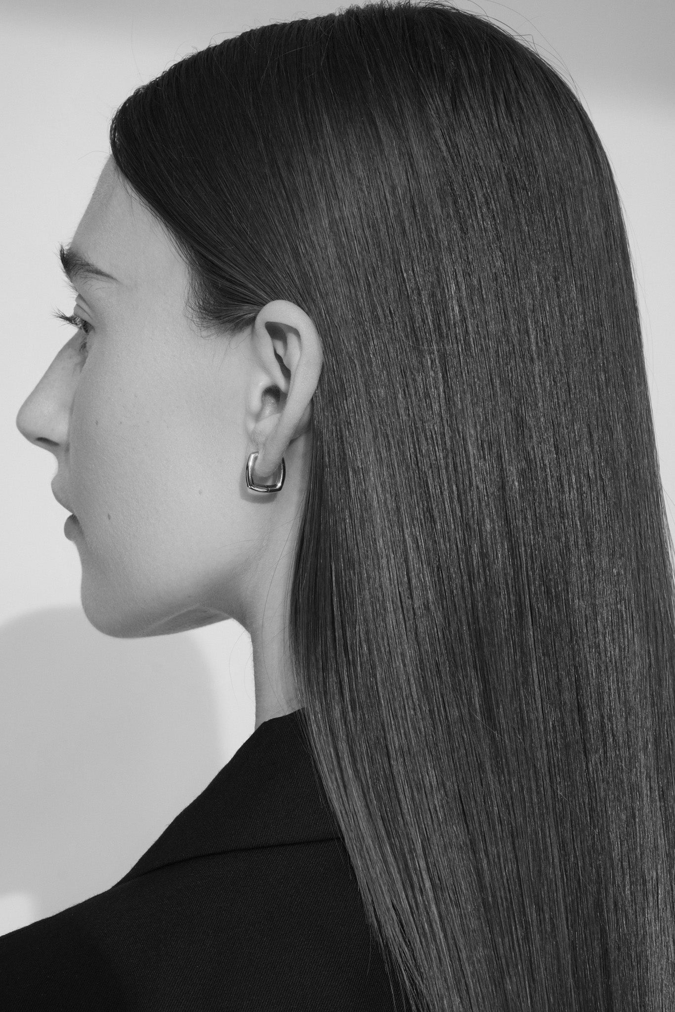 Gold Frame Hoops Small