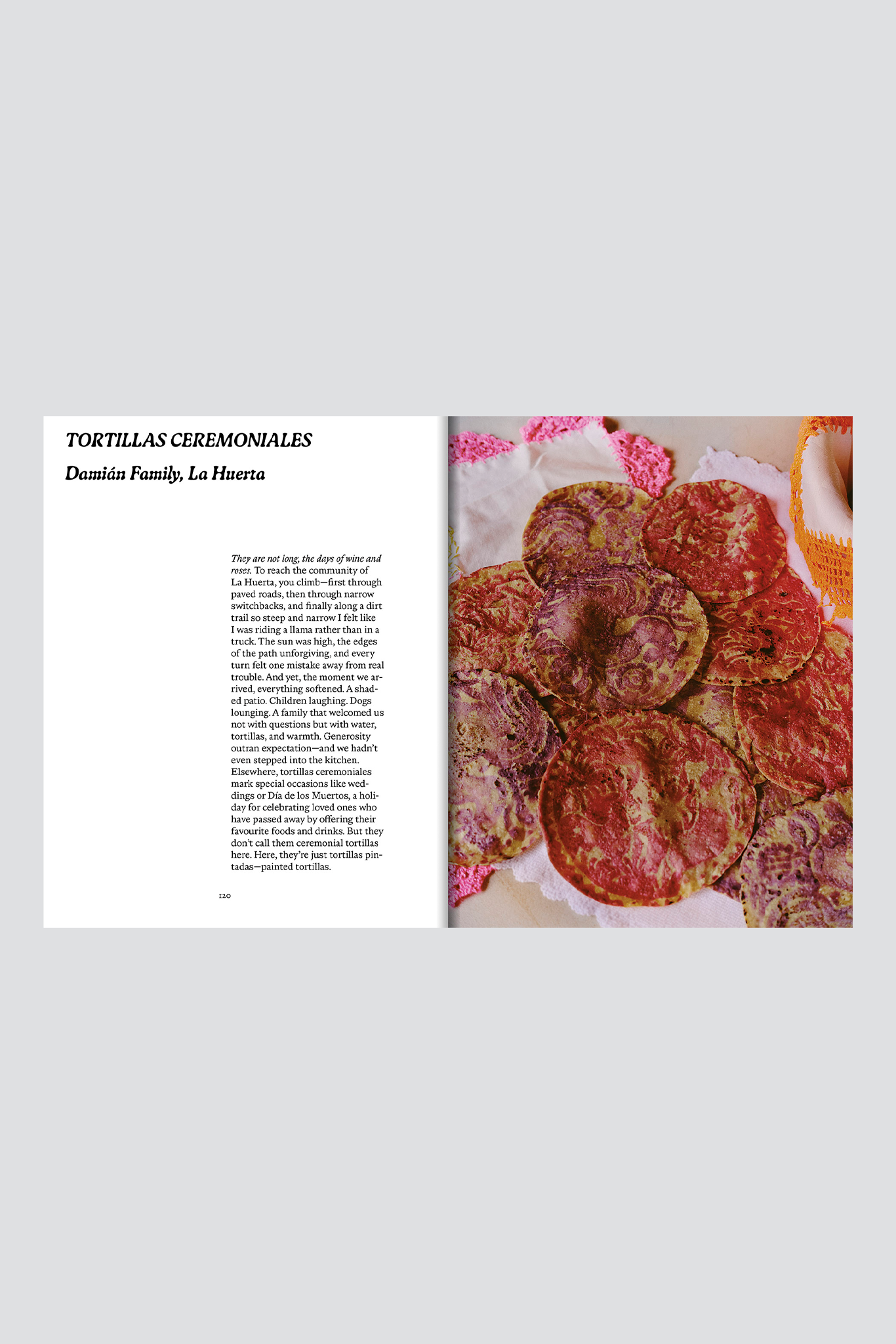 El Bajio: Recipes & Wanderings Through Mexico's Heartland