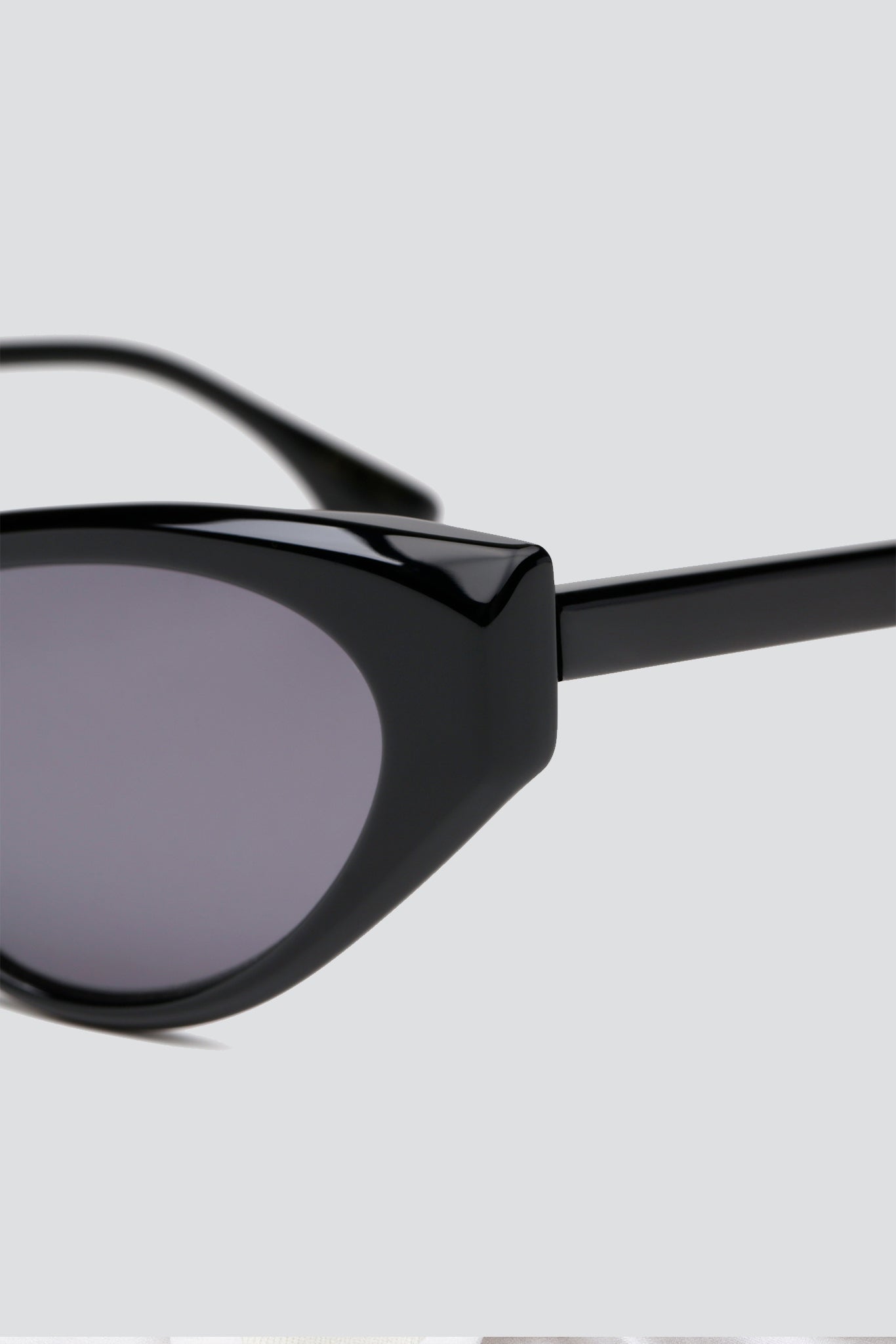 Acetate FSCC5 C1 Sunglasses