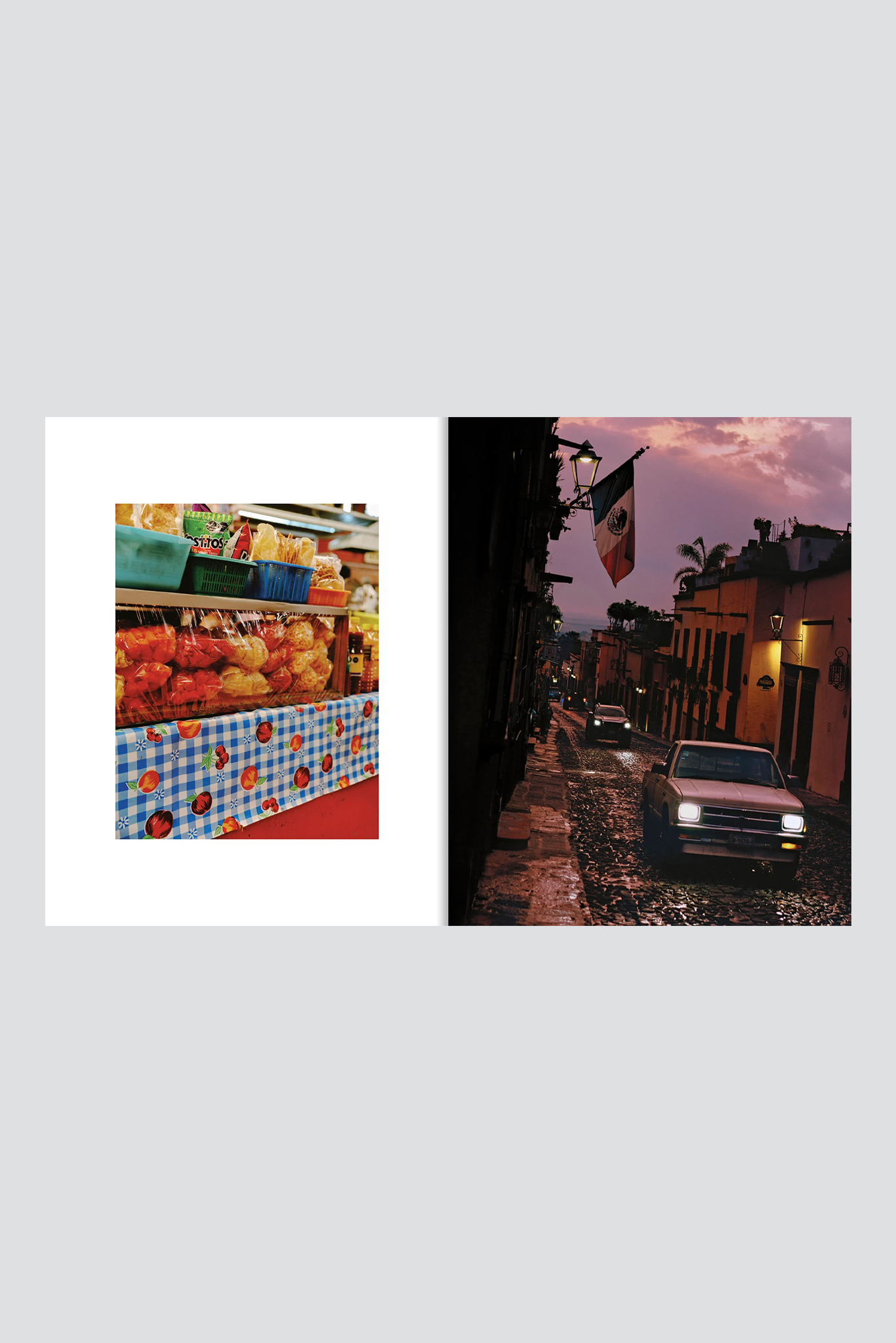 El Bajio: Recipes & Wanderings Through Mexico's Heartland