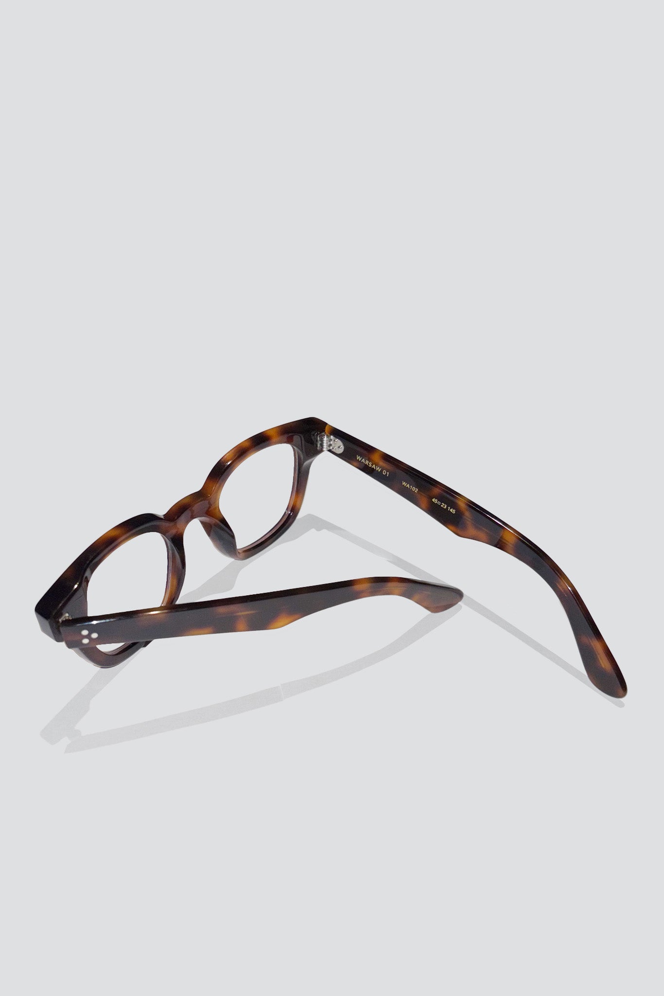 Acetate Warsaw Sunglasses - Tortoise