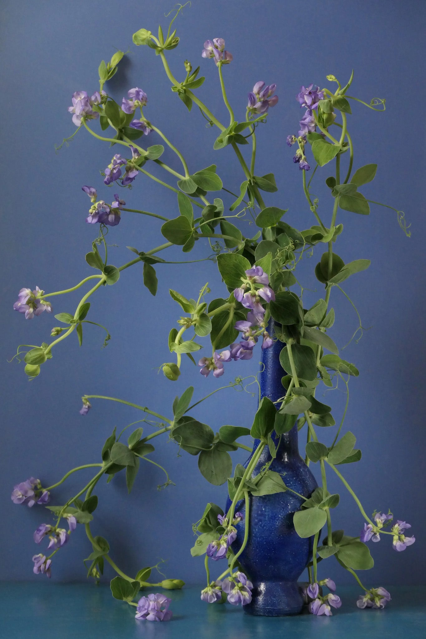 Oud Dukhan Eau de Parfum