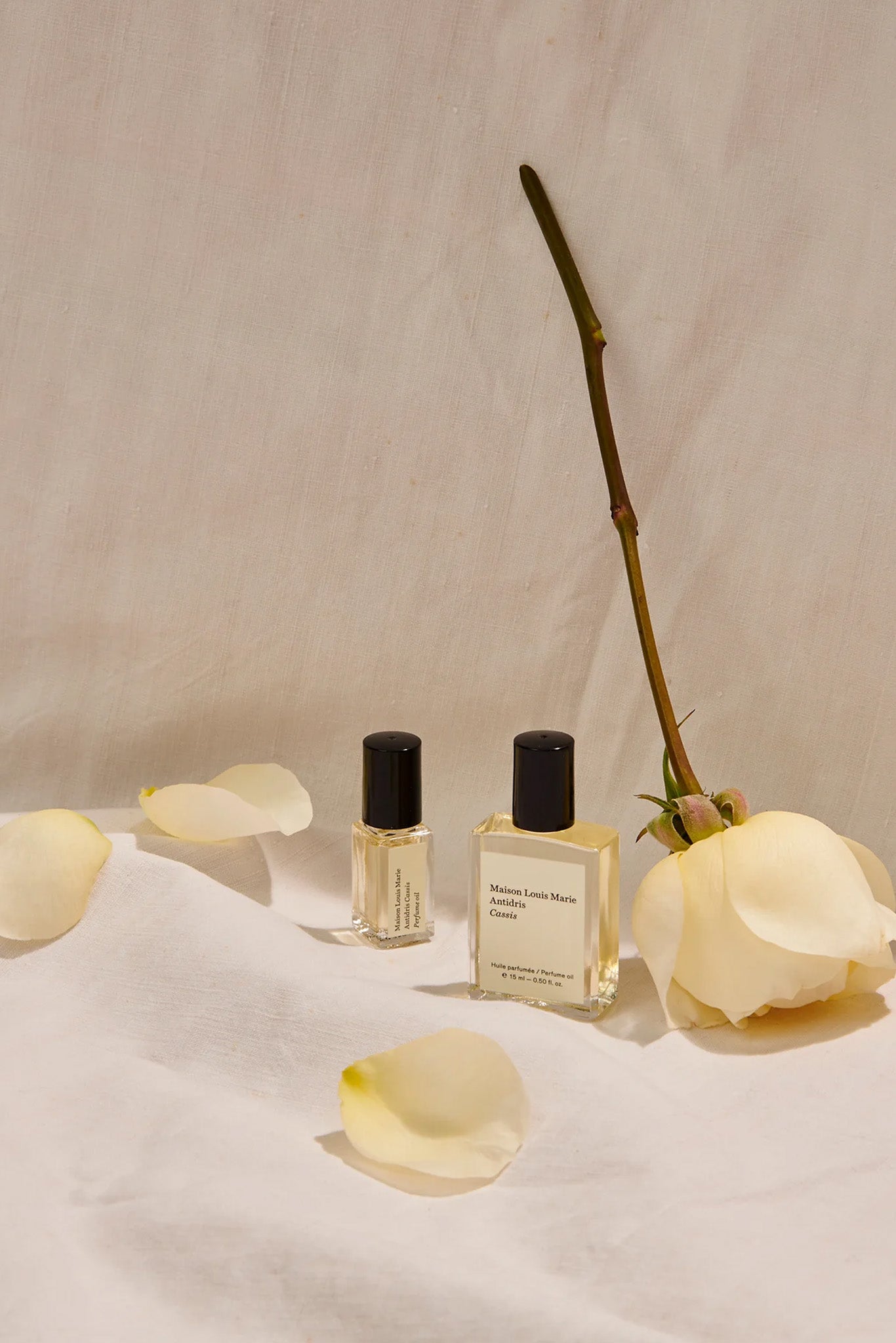 Maison Louis Marie Antidris Cassis Perfume Oil - Thumbnail 2