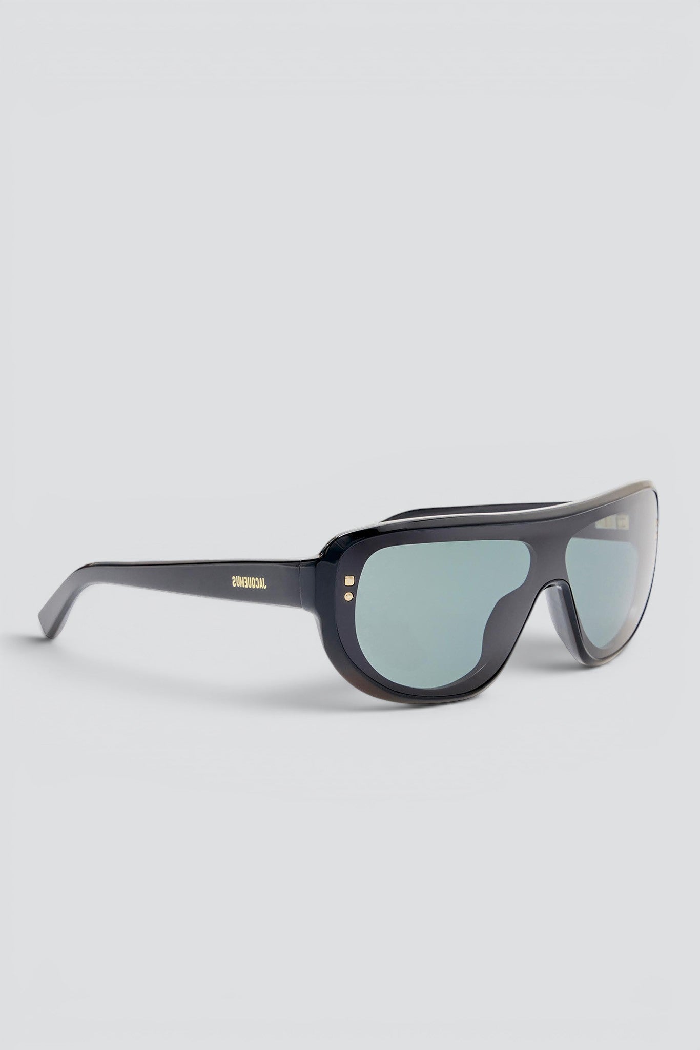 Black Havana Sunglasses