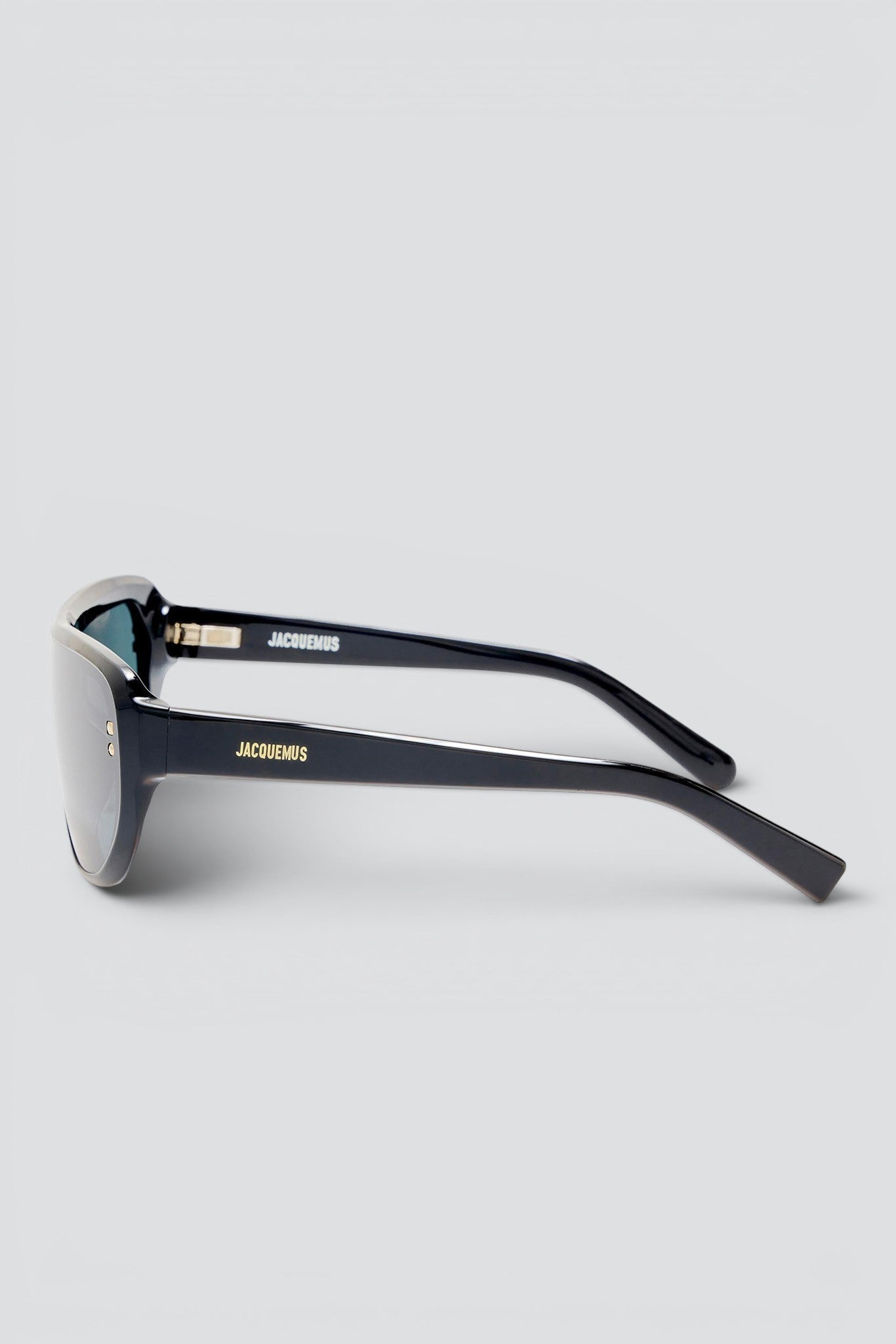 Black Havana Sunglasses