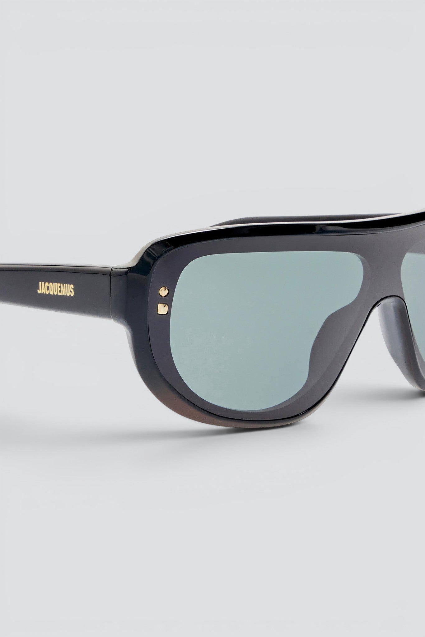 Black Havana Sunglasses