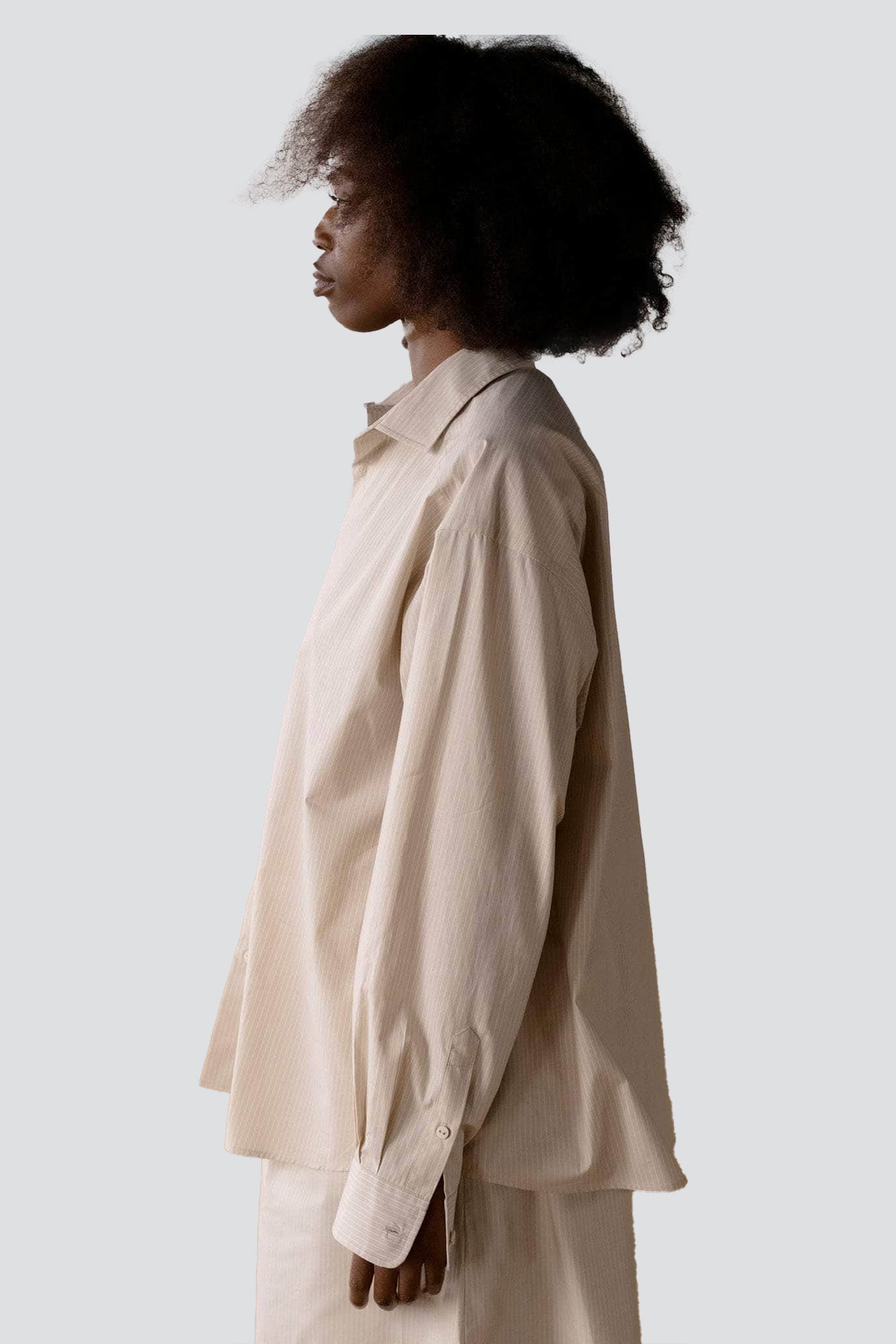 Brown Stripe Claude Shirt