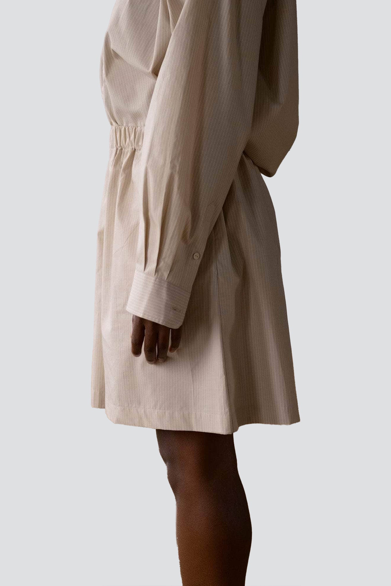 Brown Stripe Claude Shorts