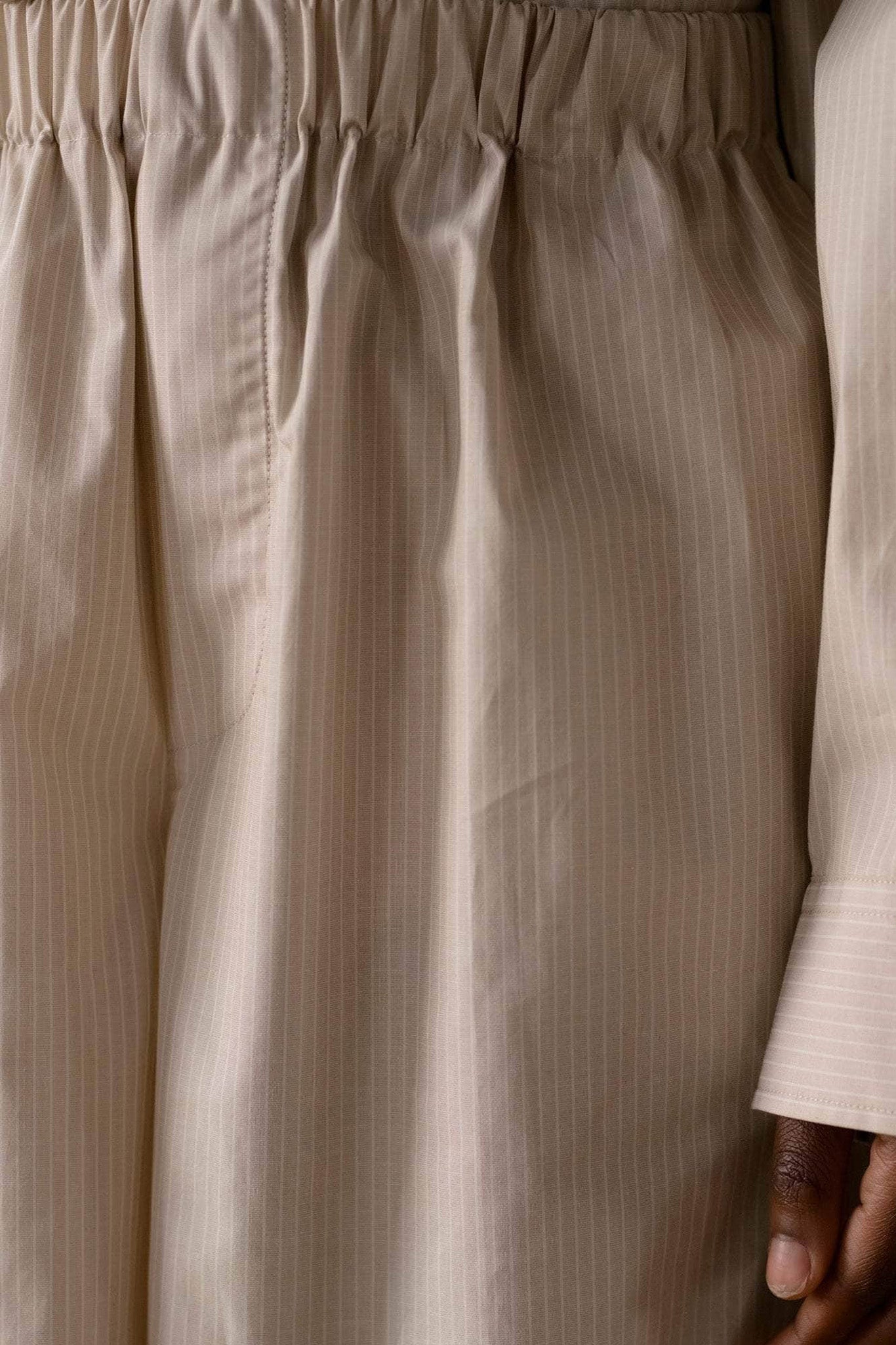 Brown Stripe Claude Shorts