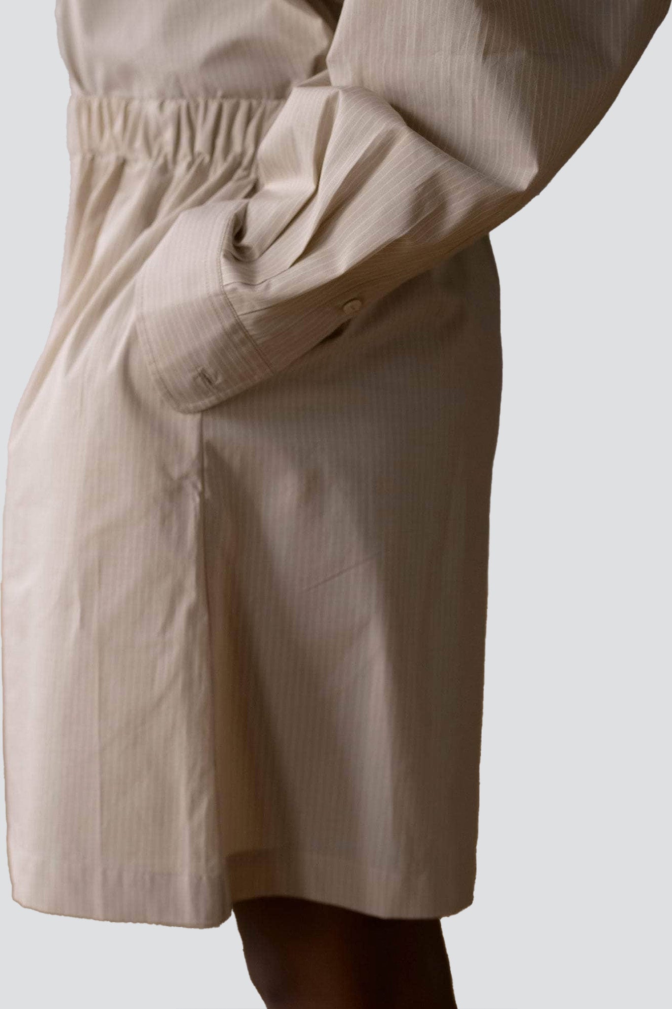 Brown Stripe Claude Shorts