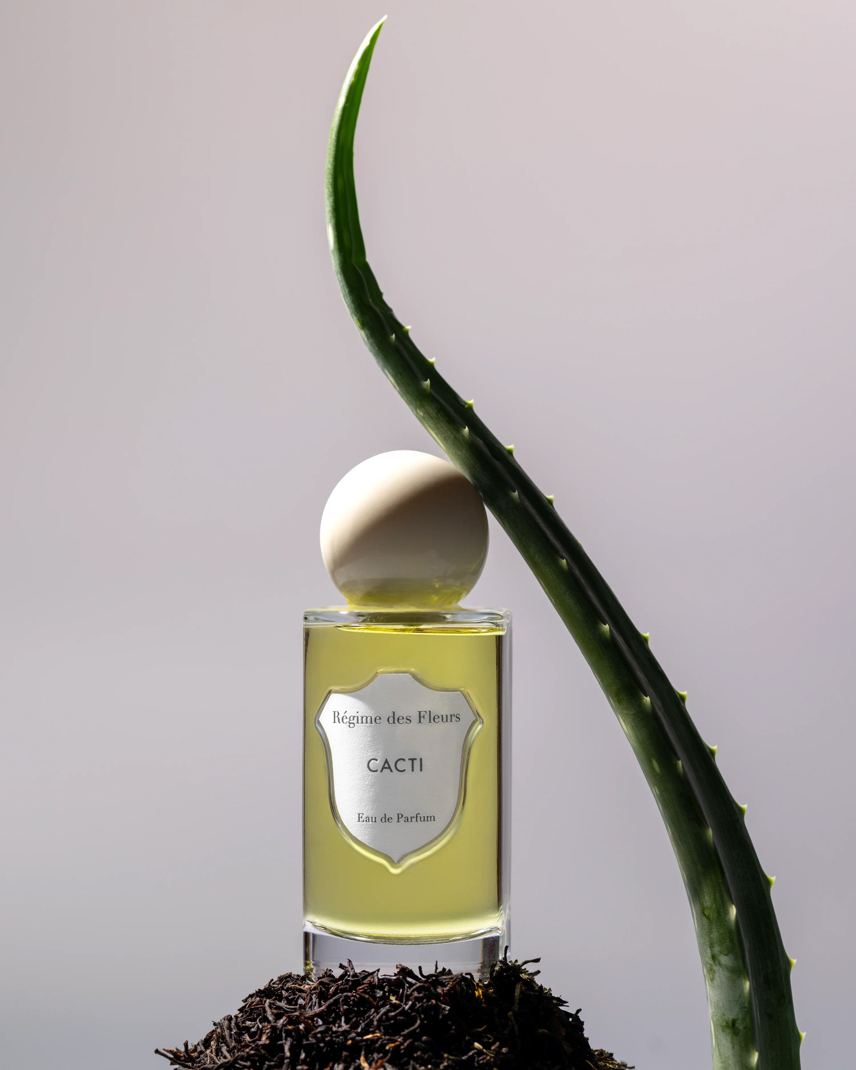 Cacti Eau de Parfum