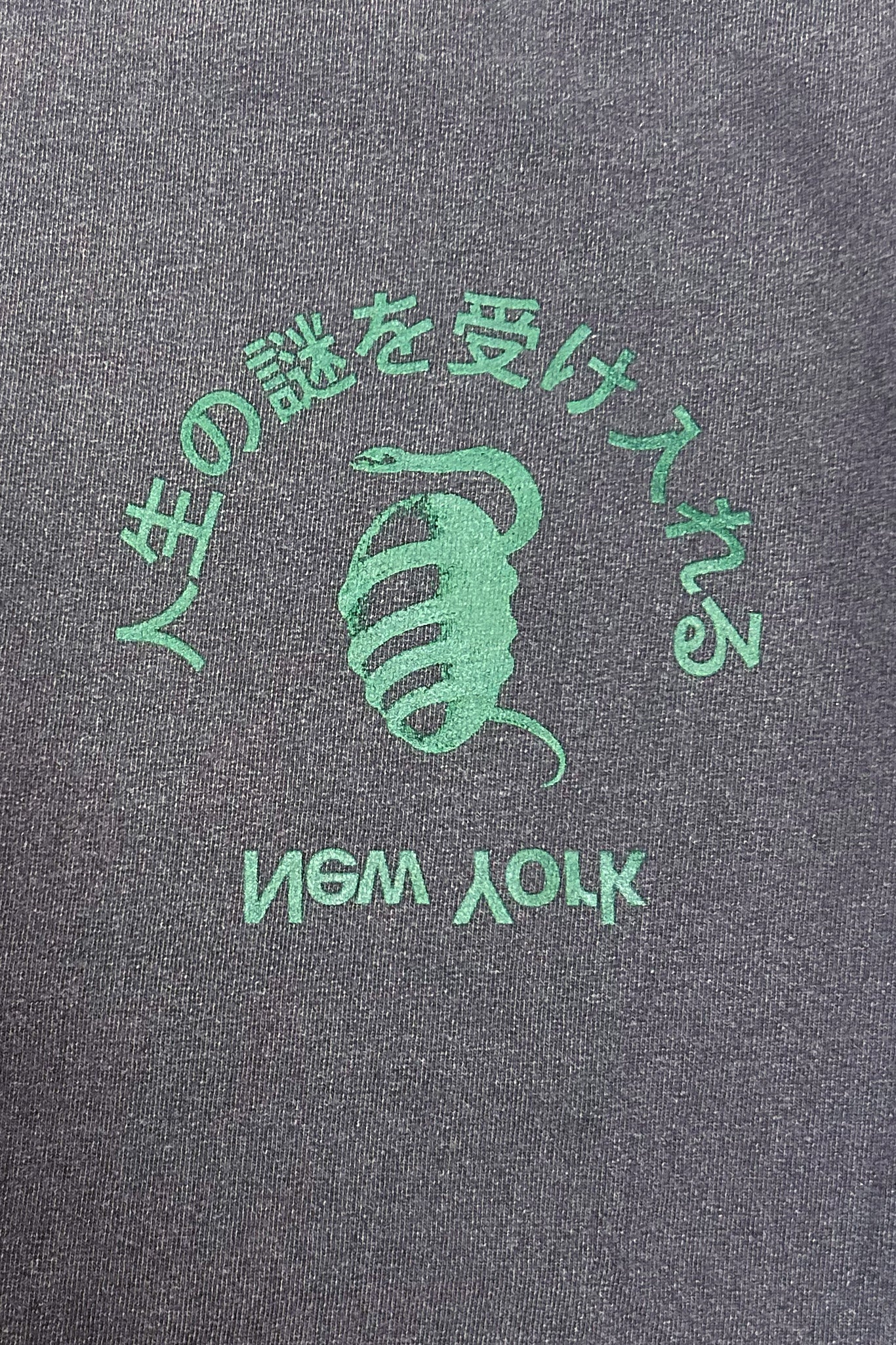 Faded/Green Embrace Mystery T-Shirt