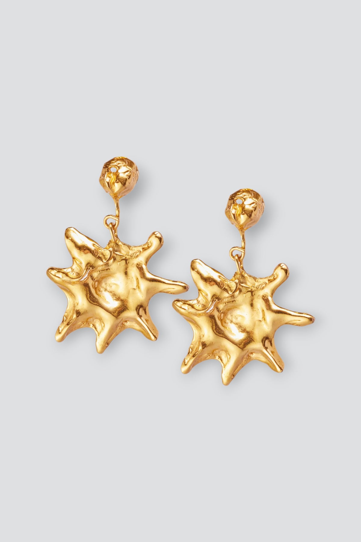 Gold Astro Earrings - Assembly NY