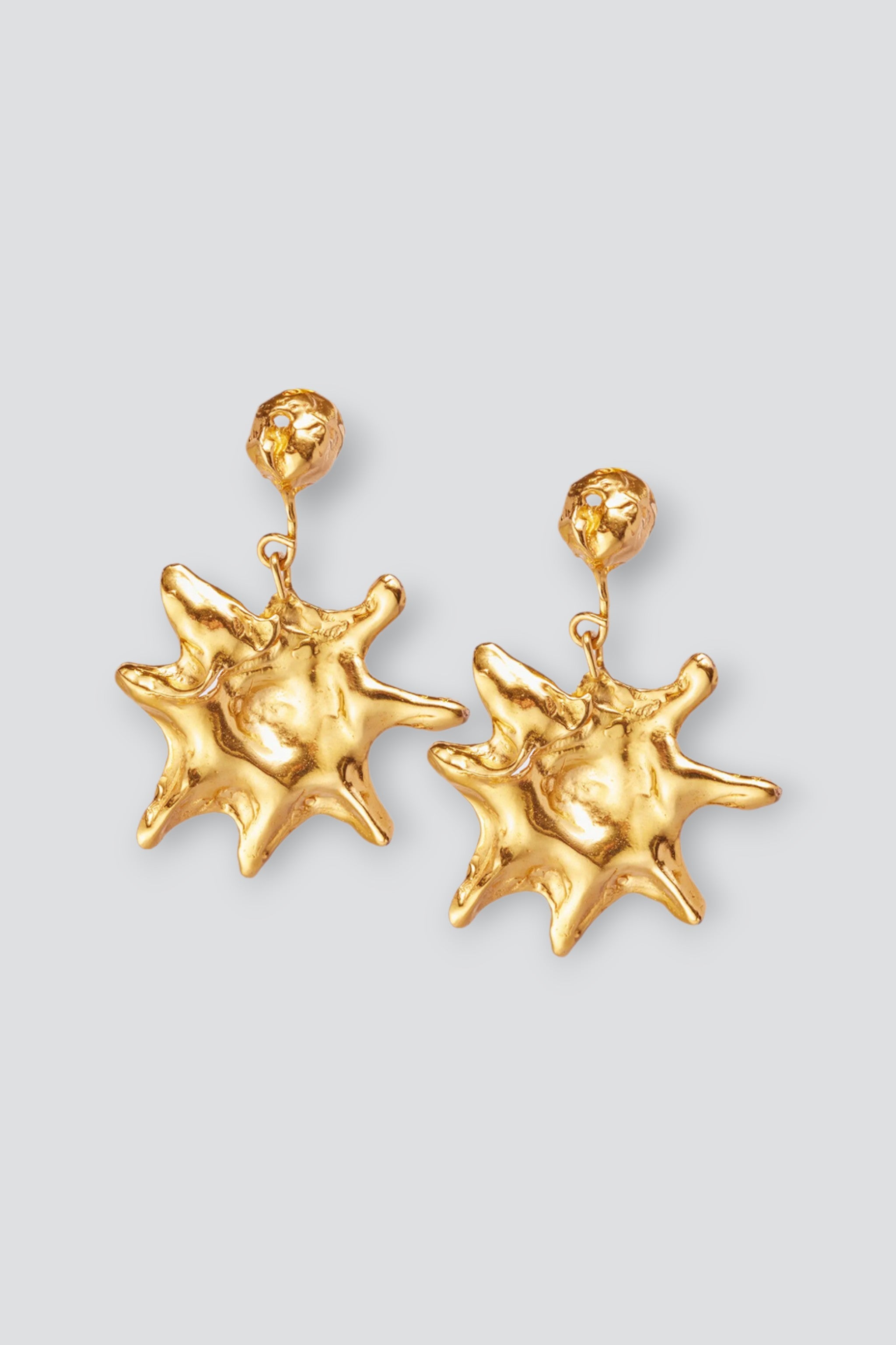 Gold Astro Earrings