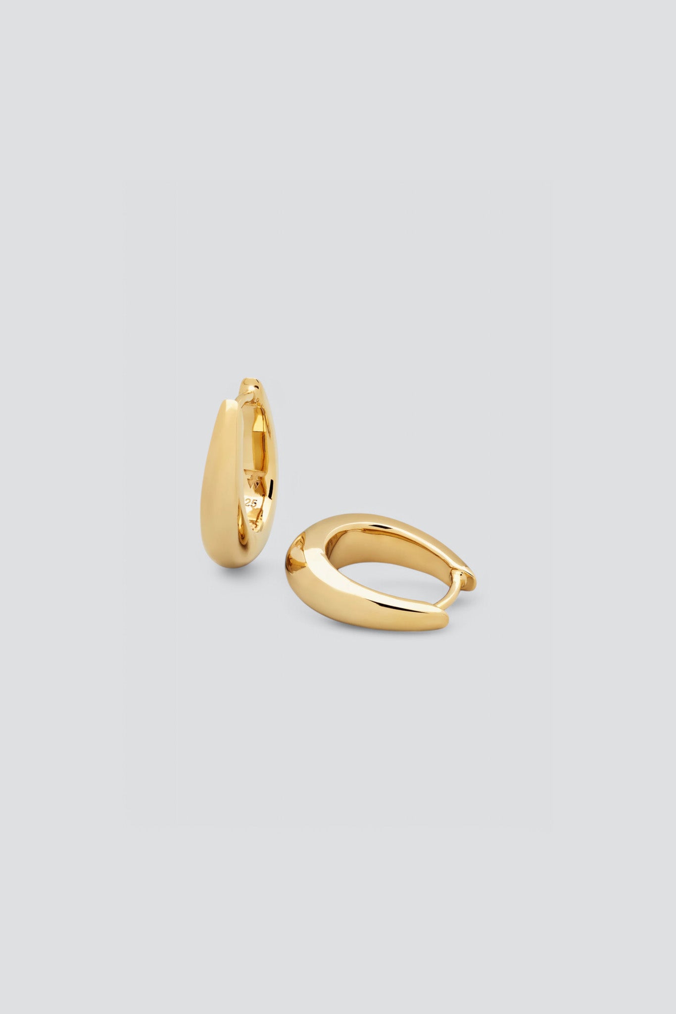Gold Liz Hoops