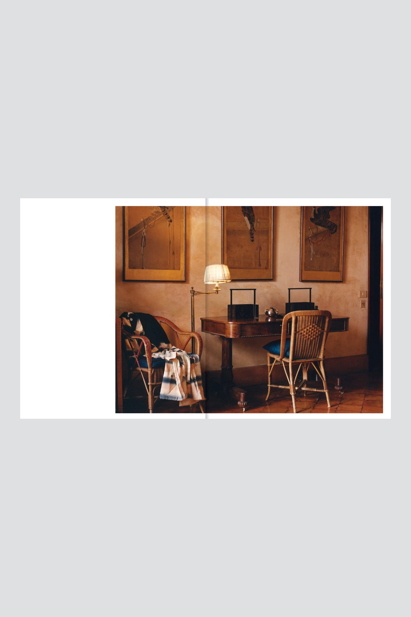 Italian Living Rooms of Elsa Peretti - Estelle Hanania