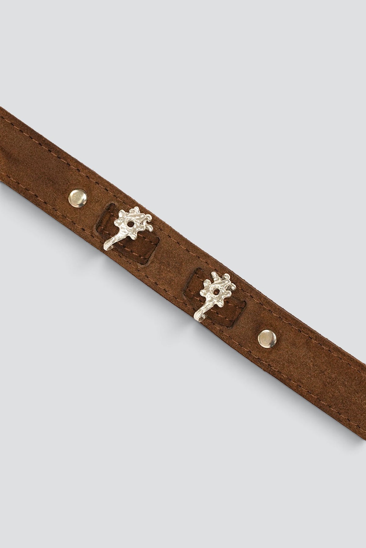 Brown Sea Anemones Belt