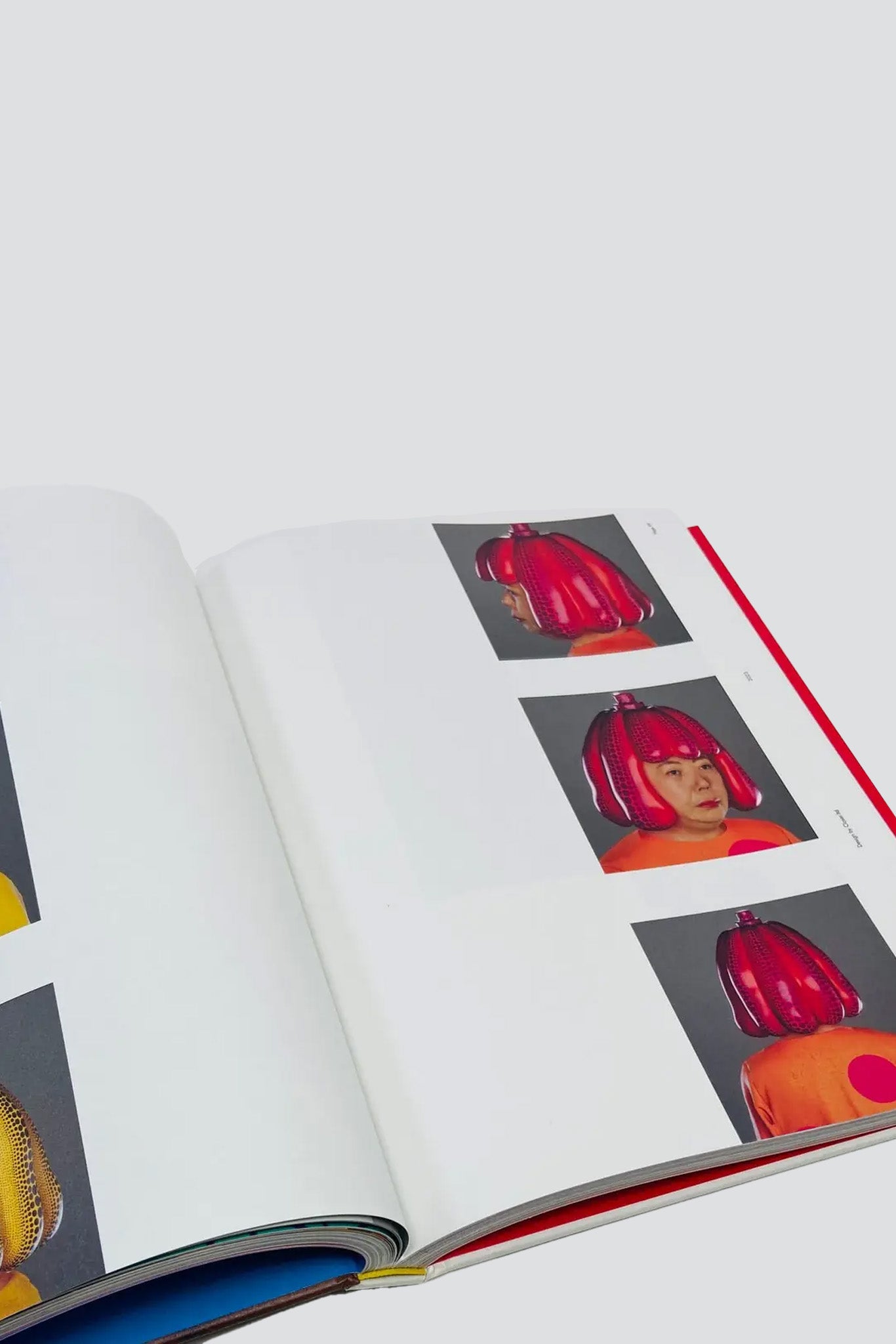 Louis Vuitton × Yayoi Kusama 限定 ファインブック LOUIS VUITTON × 草間彌生のファインブック（限定販売）を求め