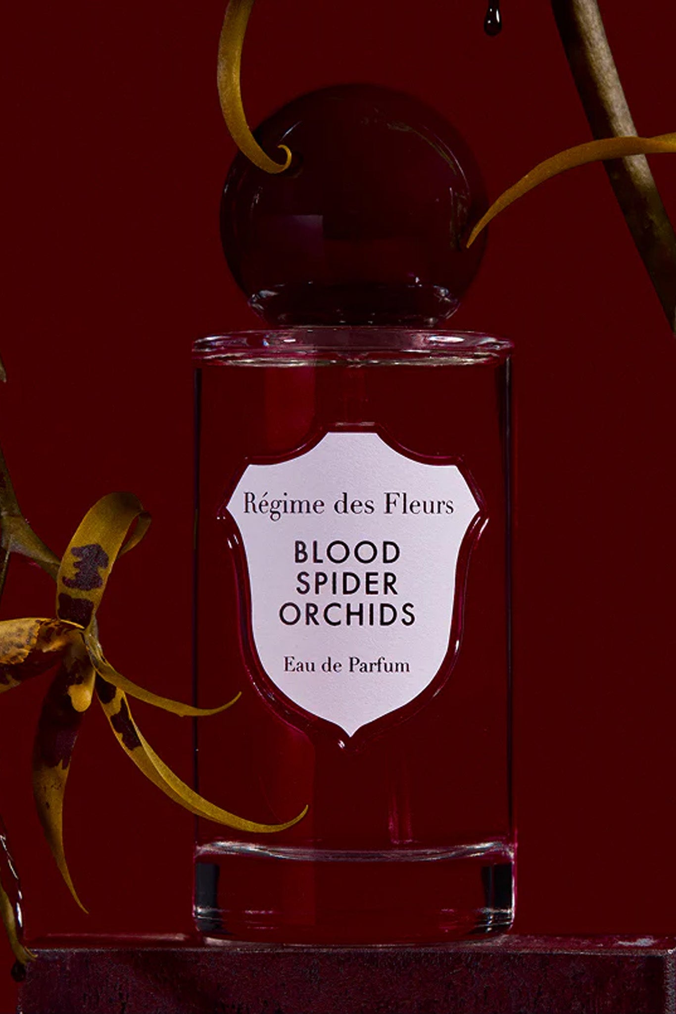 Blood Spider Orchids Eau de Parfum