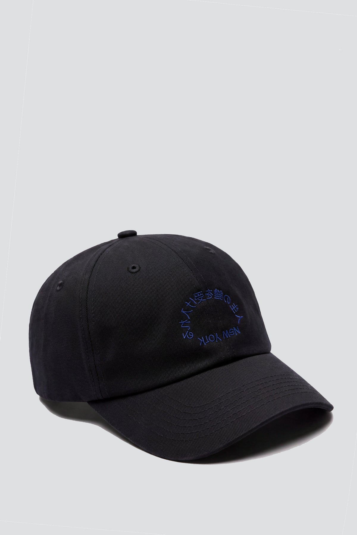 Embrace Mystery Embroidered Hat - Black/Navy Blue