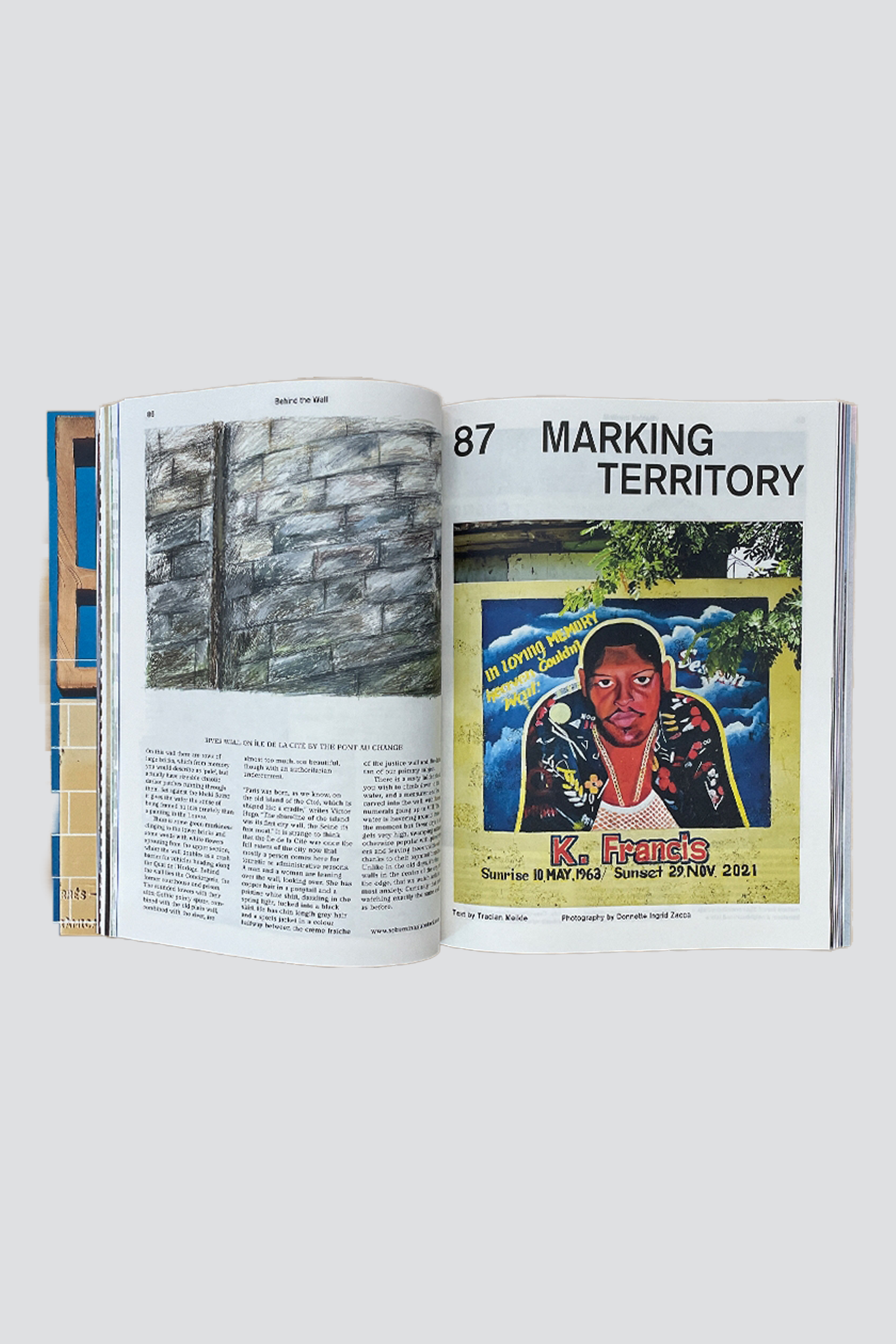 MacGuffin Magazine Nº 14 – The Wall