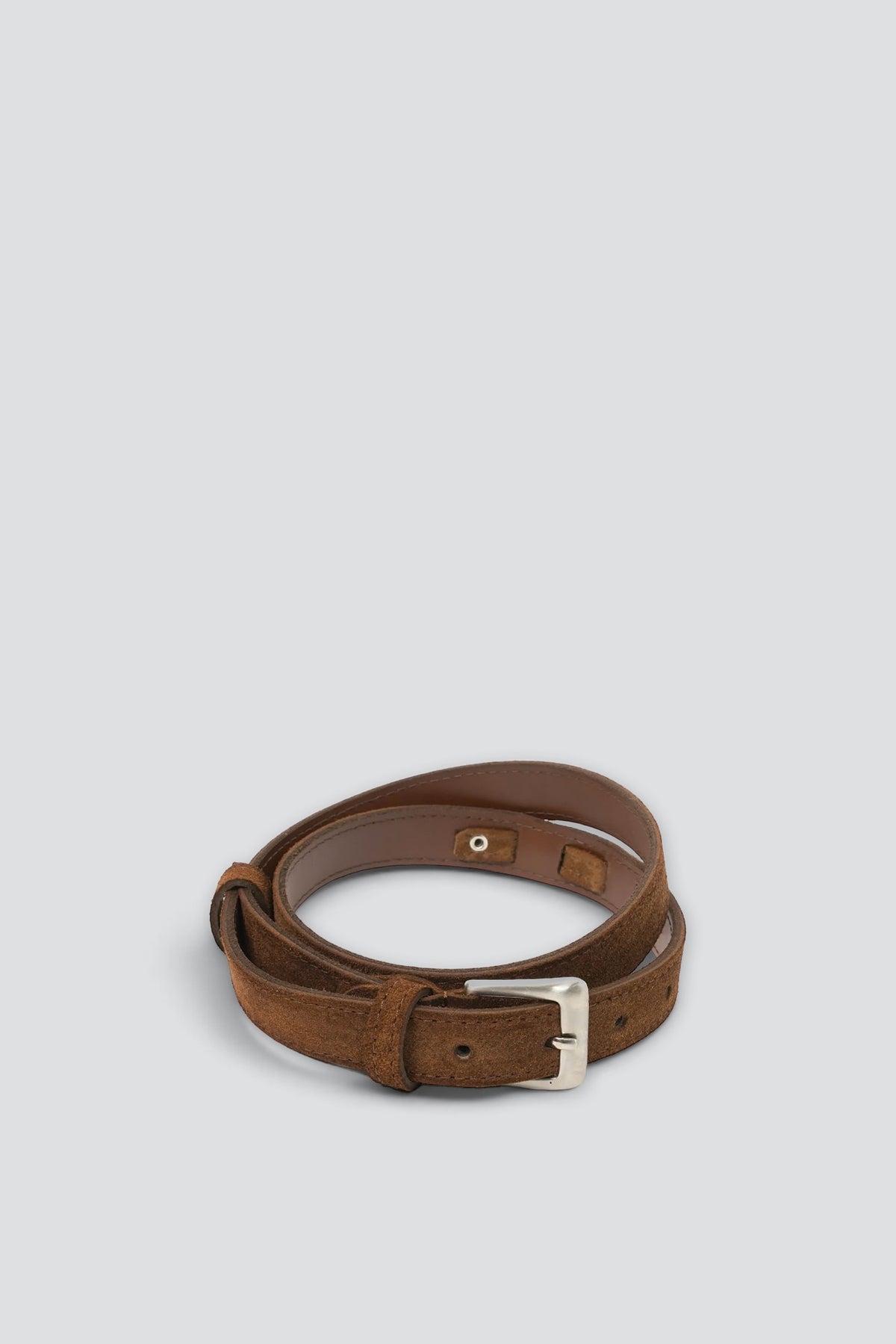 Brown Sea Anemones Belt