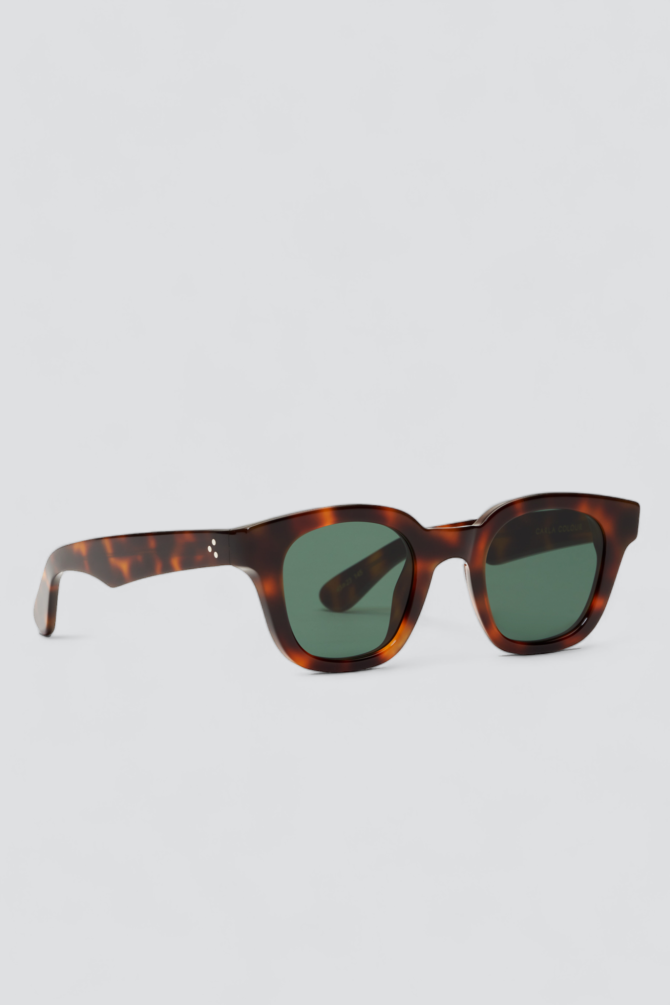 Acetate Warsaw Sunglasses - Tortoise