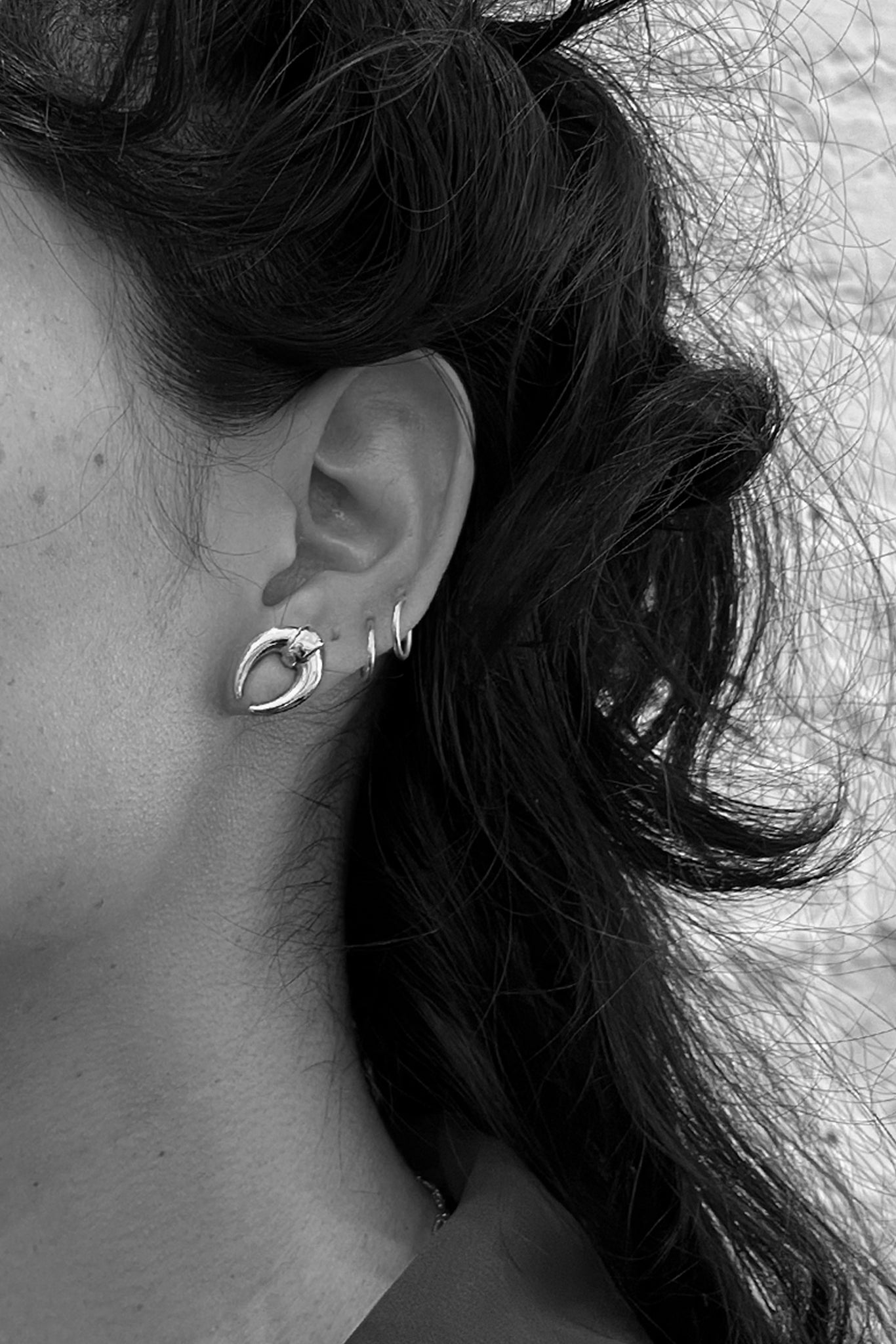 Silver Dynastinae Earrings