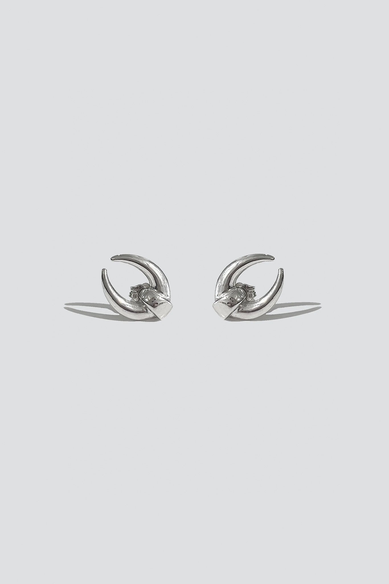 Silver Dynastinae Earrings