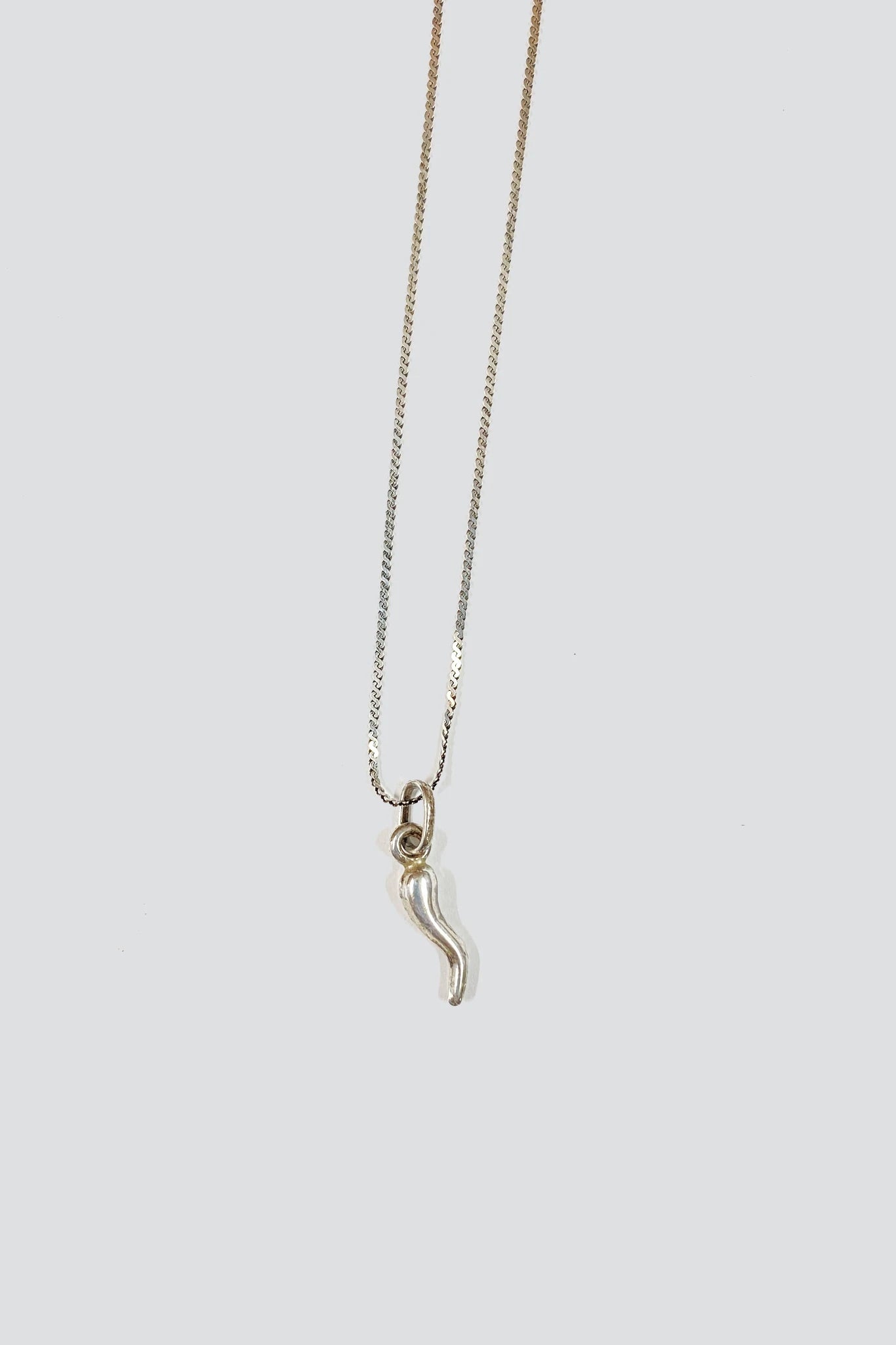 Sterling Silver Horn Necklace